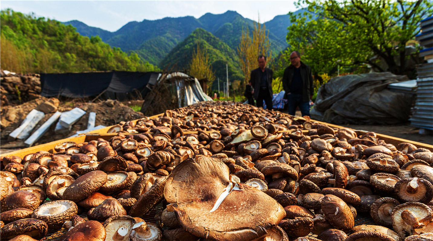 《結(jié)對幫扶，碩果累累》高波