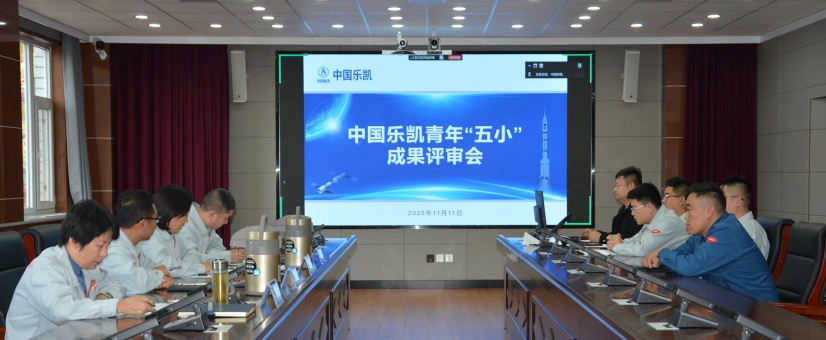 激揚青春智造力！中國樂凱團委召開青年“五小”成果評審會